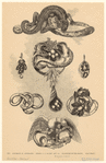 Image ID 831889