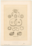Image ID 831892