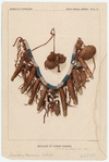 Image ID 831929