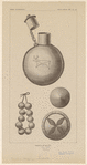 Image ID 831932