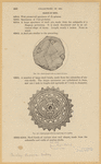 Image ID 831933