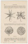 Image ID 831936