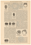 Image ID 831948