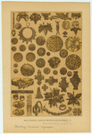 Image ID 831956