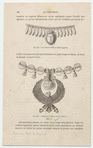 Image ID 831966