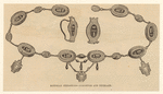 Image ID 831968