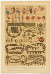 Image ID 831972