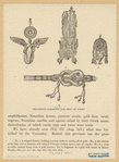 Image ID 831987