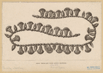 Image ID 832012