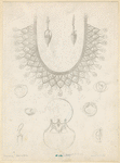 Image ID 832019
