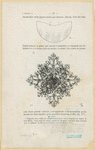Image ID 832035