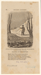 Image ID 833072