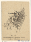 Image ID 833073