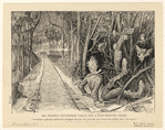 Image ID 833079