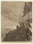 Image ID 833080