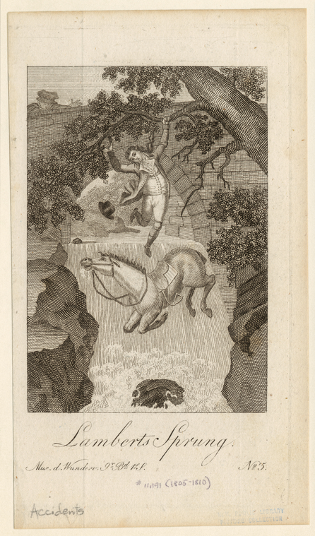 Image ID 833082
