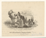 Image ID 833094