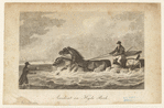 Image ID 833103