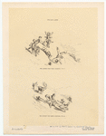 Image ID 833111