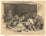 Image ID 833116