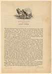 Image ID 833122