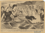 Image ID 833185