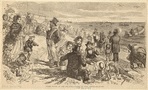 Image ID 833200