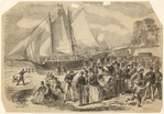 Image ID 833205
