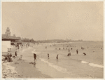 Image ID 833225