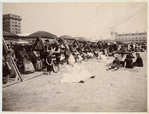 Image ID 833232