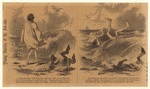 Image ID 833239