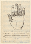 Image ID 833264