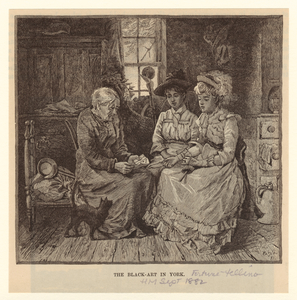 Image ID 833276