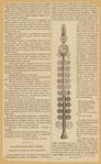 Image ID 833278