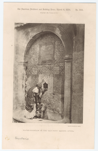 Image ID 833356