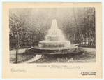 Image ID 833387