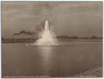Image ID 833405