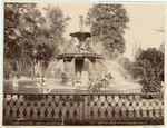 Image ID 833407