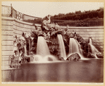 Image ID 833411