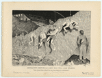 Image ID 833488