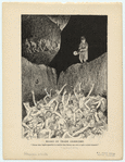 Image ID 833494