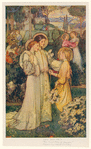 Image ID 833496