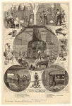 Image ID 833547