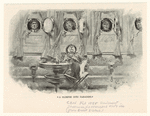 Image ID 833672