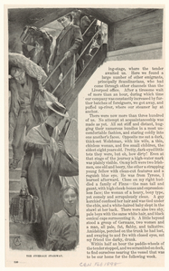 Image ID 833687