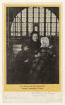 Image ID 833694