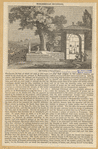 Image ID 833725