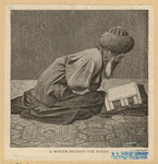 Image ID 833727