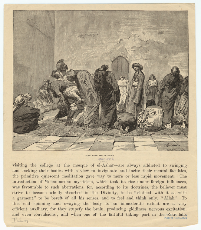 Image ID 833729
