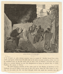Image ID 833731